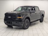 New 2025 Ford F150 XLT image 4