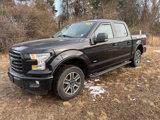 Used 2016 Ford F150 XLT w/ Equipment Group 302A Luxury image 2
