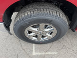 New 2025 Ford F150 XLT w/ Equipment Group 302A MID image 4