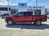 New 2025 Ford F150 XLT image 2