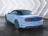 Used 2022 Ford Mustang Premium image 3