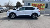 Used 2020 Ford Escape SE image 2