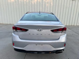 Used 2019 Hyundai Sonata SE w/ Cargo Package image 4