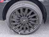 New 2025 Hyundai Santa Fe Calligraphy image 6