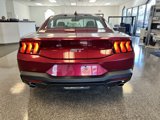 New 2025 Ford Mustang GT Premium image 5