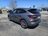 Used 2024 Ford Escape ST-Line image 5