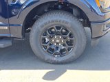 New 2025 Ford F150 XLT w/ Equipment Group 302A MID image 4