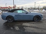 New 2025 Ford Mustang Convertible w/ Mustang Nite Pony Package image 6
