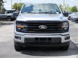 New 2025 Ford F150 XLT image 2