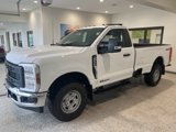 New 2025 Ford F250 XL image 3