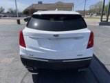 Used 2019 Cadillac XT5 Luxury image 6