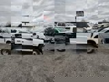 New 2025 Ford F350 XL image 4