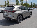 New 2026 Lexus NX 350h AWD w/ Premium Package image 2