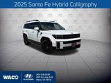 New 2025 Hyundai Santa Fe Calligraphy image 1