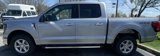 New 2025 Ford F150 XLT image 3