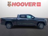 New 2025 Toyota Tundra 1794 Edition image 2