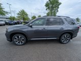 New 2025 Honda Pilot Touring image 5