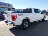 Used 2023 Ford F150 XLT image 3