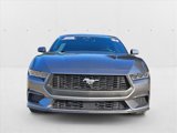 Used 2024 Ford Mustang Premium image 2