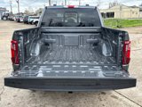 New 2025 Ford F150 XLT w/ Equipment Group 302A MID image 6