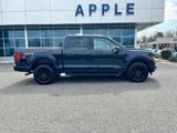 Certified 2024 Ford F150 XLT w/ Equipment Group 302A MID image 3