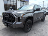 Used 2023 Toyota Tundra TRD Pro image 2