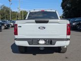 Used 2024 Ford F150 STX image 4