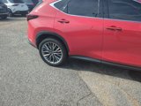 Used 2025 Lexus NX 350 AWD w/ Luxury Package image 3