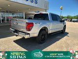 New 2025 Ford F150 XLT image 2