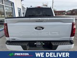 New 2025 Ford F150 XLT image 5