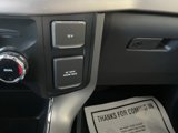 New 2025 Ford F150 XLT w/ Equipment Group 302A MID image 4