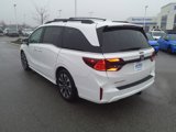 New 2025 Honda Odyssey Elite image 5