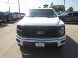 New 2025 Ford F150 XLT w/ Equipment Group 301A Standard image 2