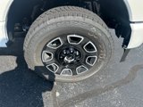 New 2025 Ford F250 Platinum image 4