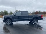New 2025 Ford F250 Platinum image 4