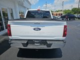 New 2025 Ford F150 XLT w/ Equipment Group 303A High image 5