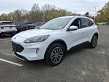 Certified 2022 Ford Escape SEL image 3