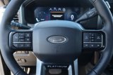 New 2025 Ford F250 Platinum w/ Tremor Off-Road Package image 3