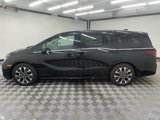New 2025 Honda Odyssey Elite image 2