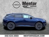 New 2025 Nissan Murano Platinum w/ Cargo Package image 2