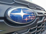Certified 2024 Subaru Forester Wilderness w/ Wilderness Package image 4
