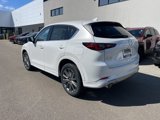 New 2025 MAZDA CX-5 Signature image 3