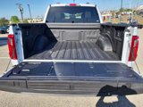 New 2025 Ford F150 XLT w/ Equipment Group 301A Standard image 4