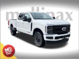 New 2025 Ford F250 Platinum image 1