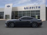 New 2025 Ford Mustang GT Premium w/ Mustang Nite Pony Package image 4