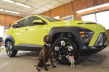 Used 2024 Hyundai Kona SEL w/ Convenience Package image 2