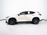 Used 2024 Lexus NX 350 AWD w/ Premium Package image 4