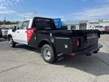 New 2025 Chevrolet Silverado 3500 W/T w/ WT Convenience Package image 3