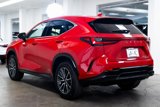 Used 2024 Lexus NX 350h AWD w/ Premium Package image 4