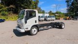 New 2025 Chevrolet Low Cab Forward 5500XG image 4